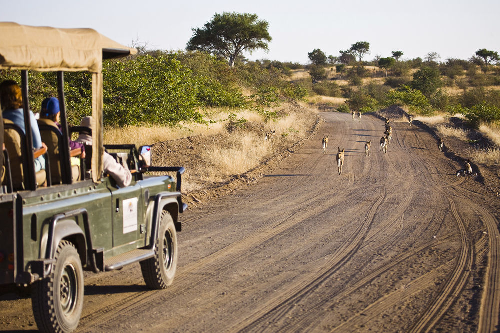 Lentswelemoriti Tuli Safari Lodge מראה חיצוני תמונה